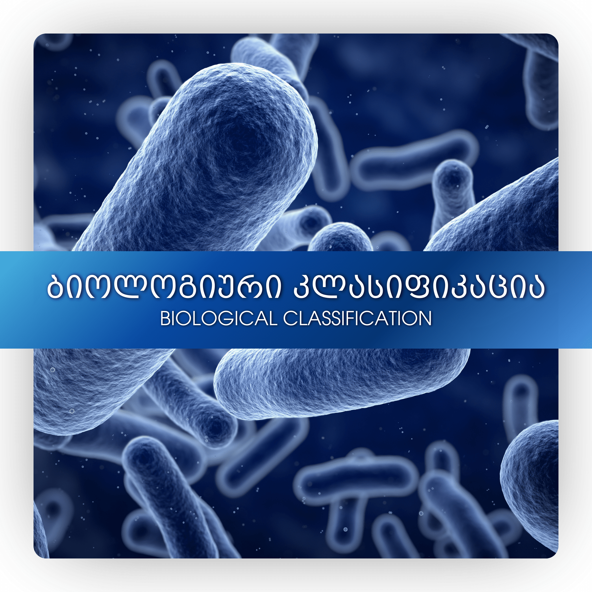 ბიოლოგიური კლასიფიკაცია