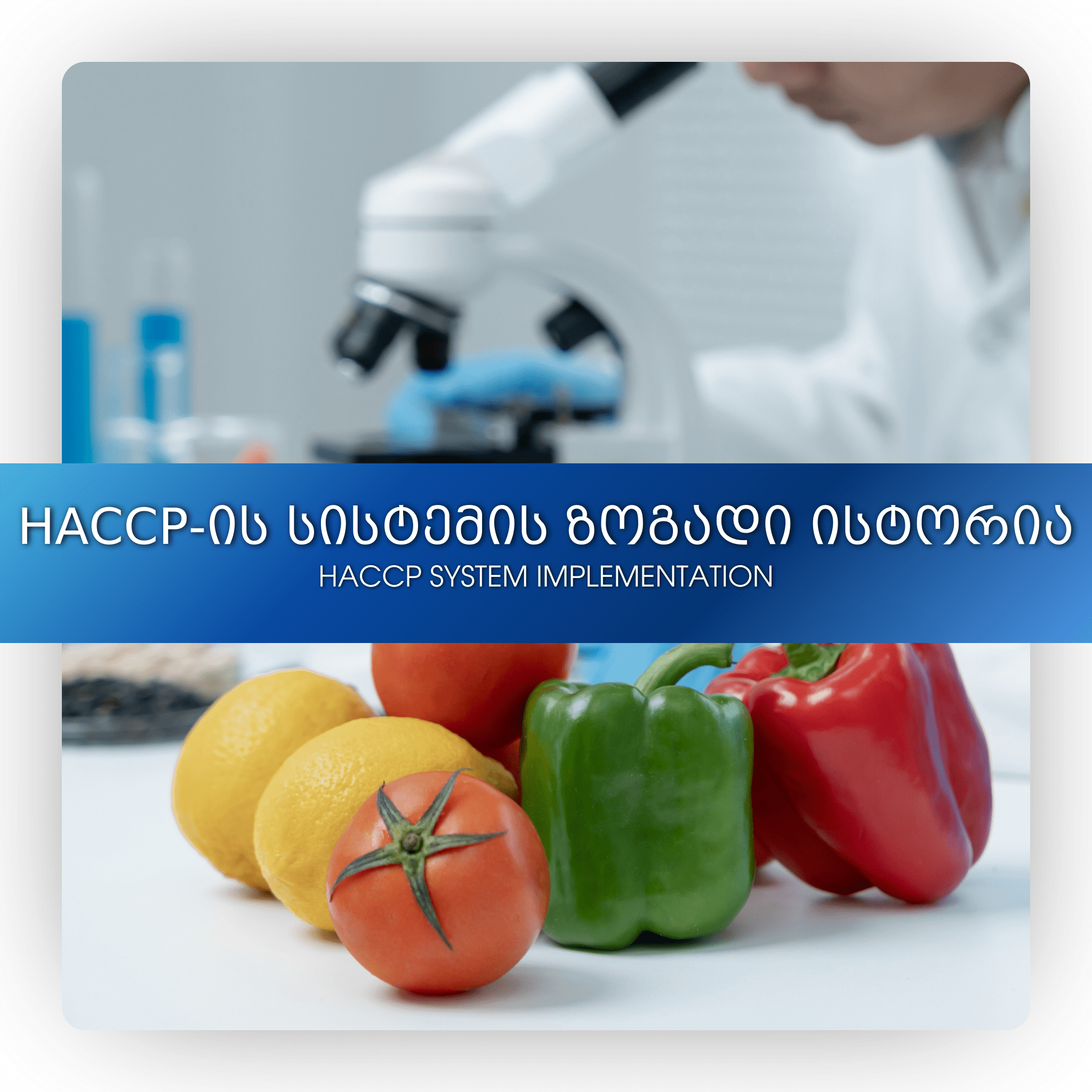 HACCP-ის სისტემის ზოგადი ისტორია