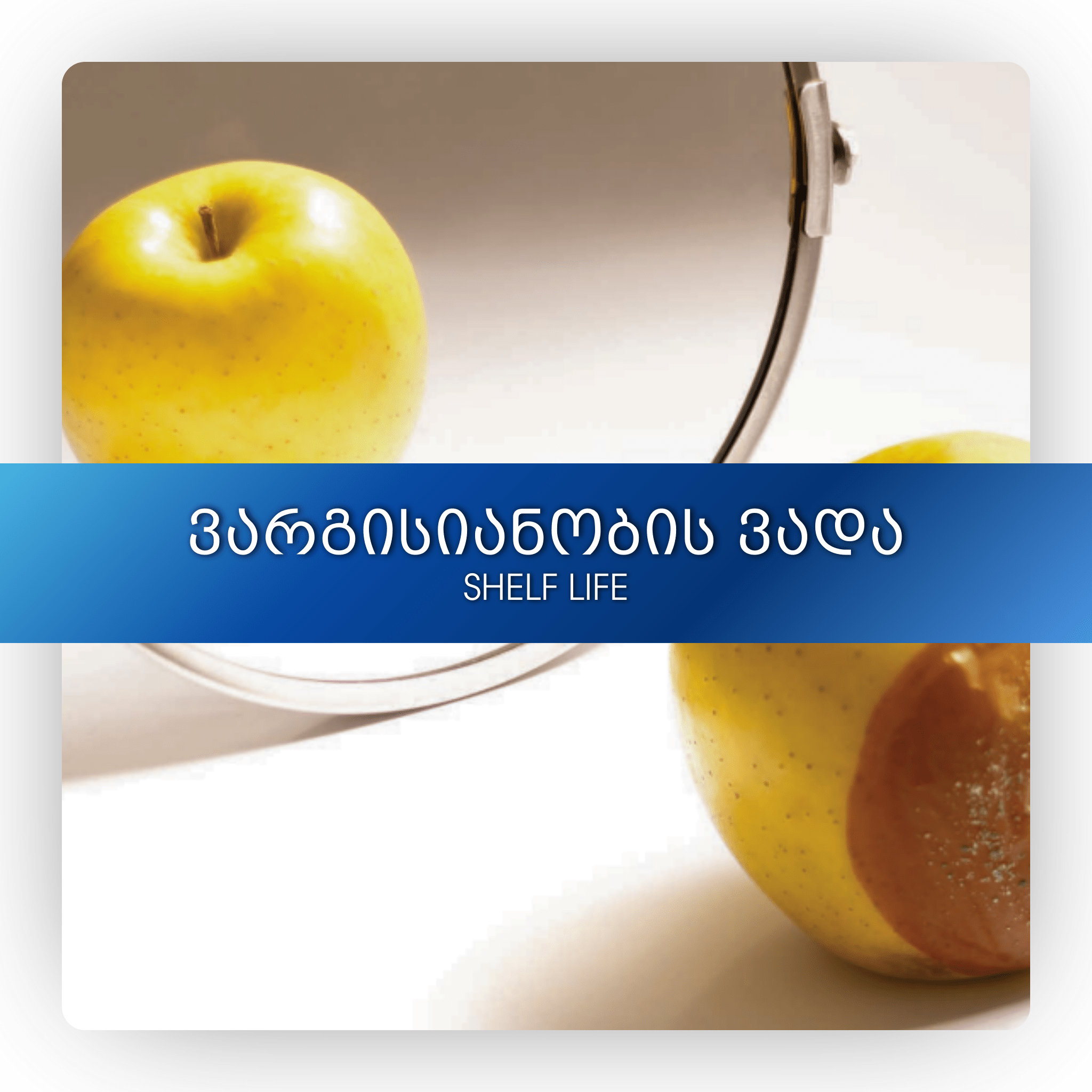 ვარგისიანობის ვადა