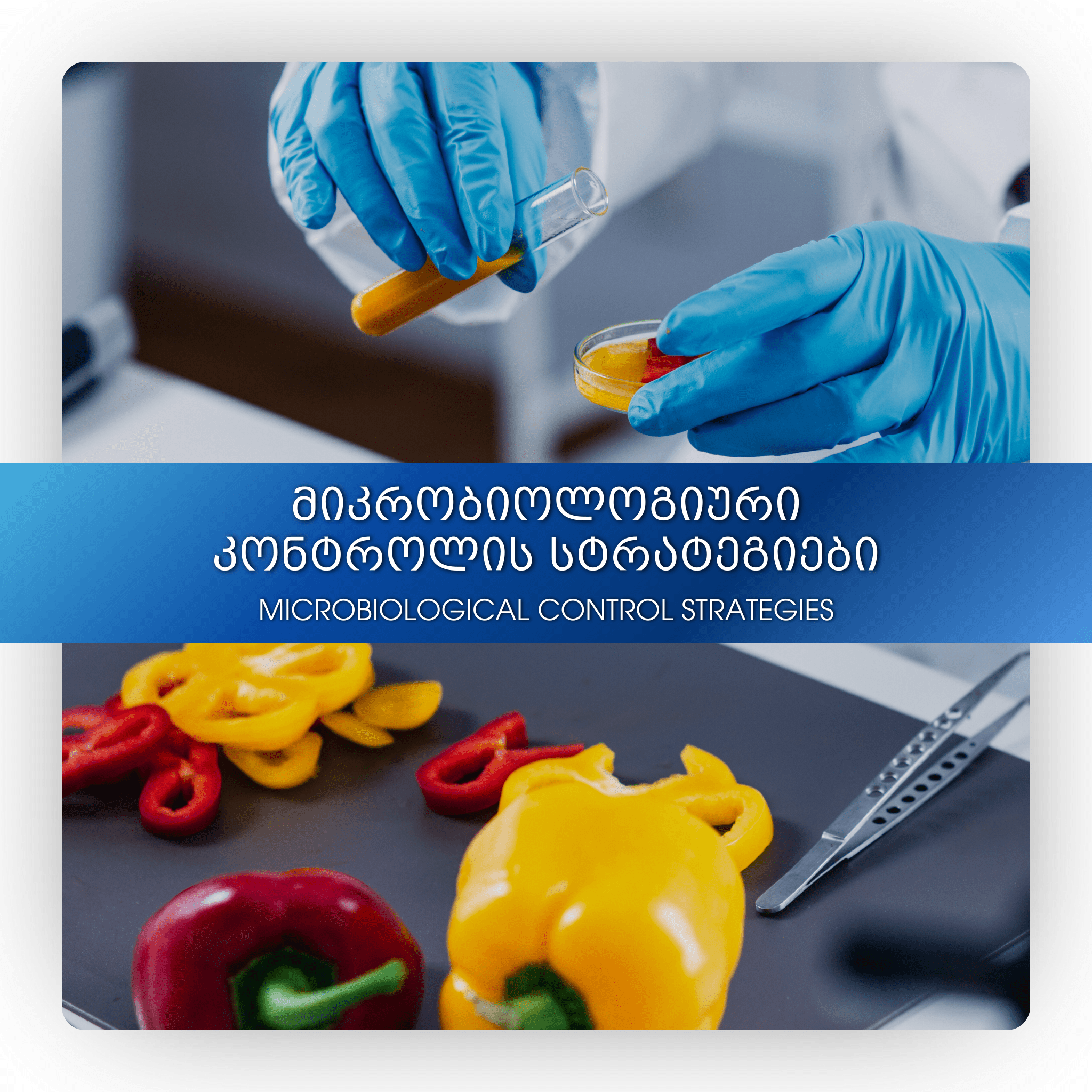 მიკრობიოლოგიური კონტროლის სტრატეგიები