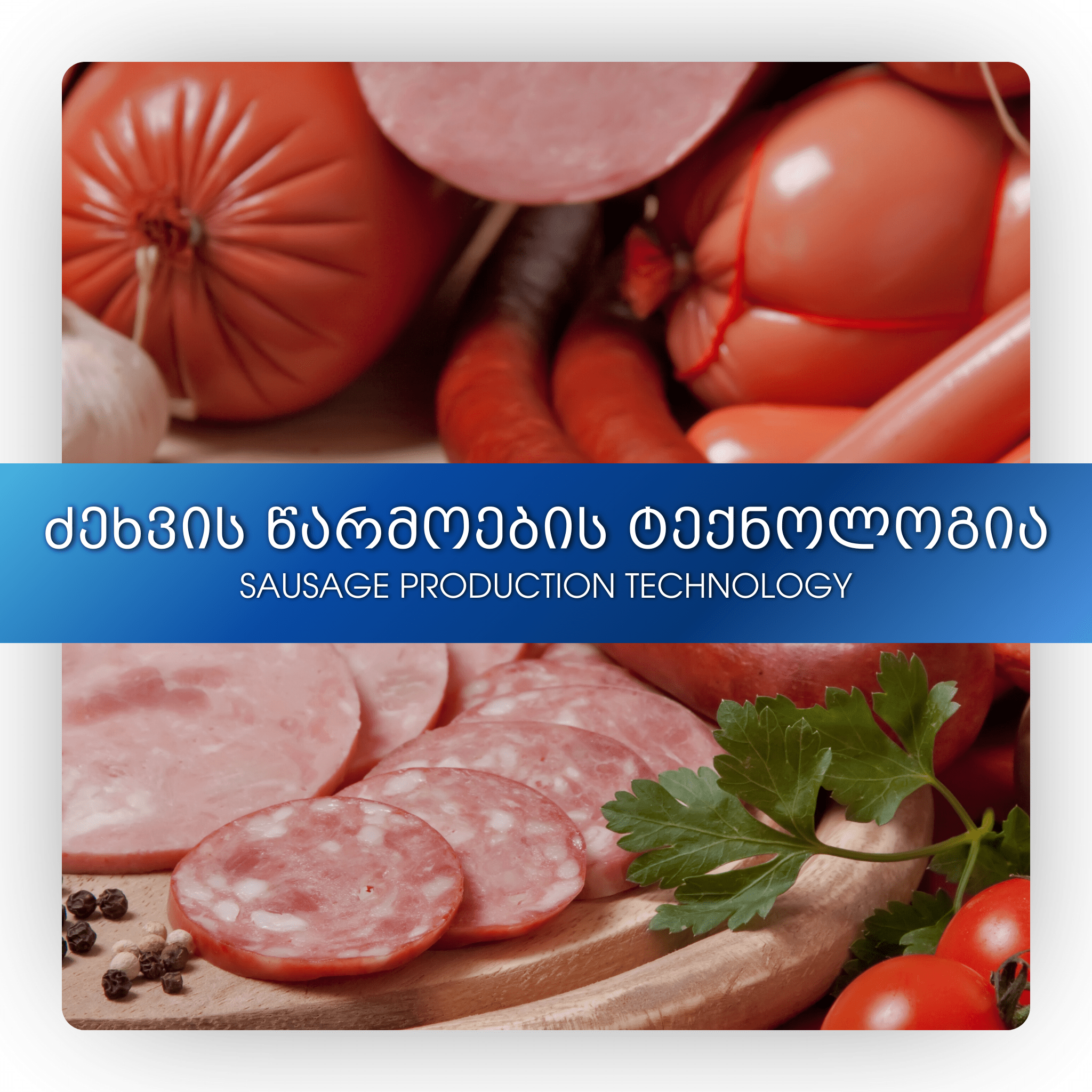 ძეხვის წარმოების ტექნოლოგია