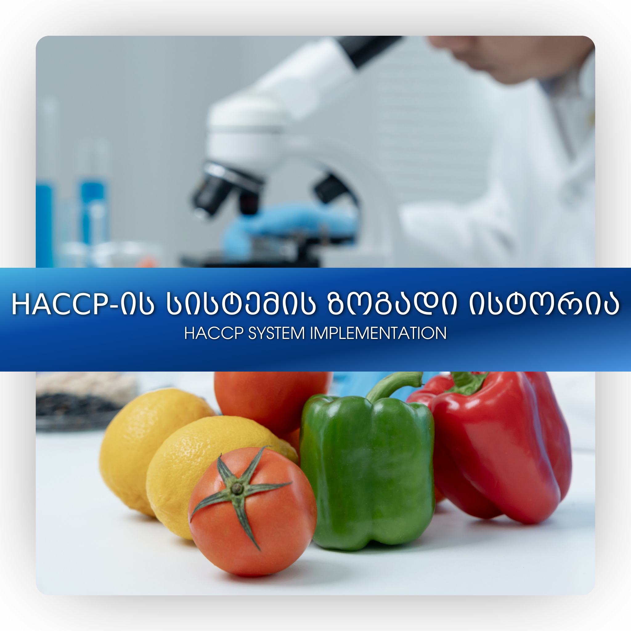 HACCP-ის სისტემის ზოგადი ისტორია