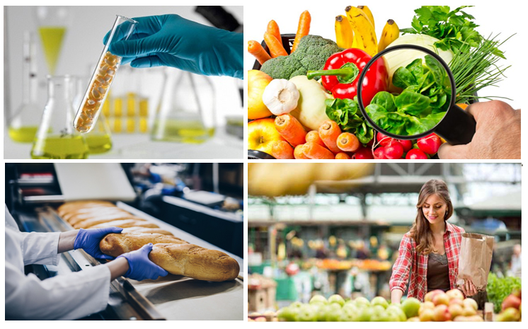 HACCP სისტემის დანერგვა, ტრენინგები, კონსულტაცია და სერტიფიცირება